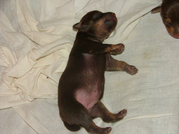 Неизвестно Неизвестно