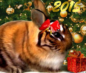 Дарья Ивлева