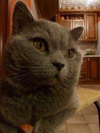 Александр Ампилогов