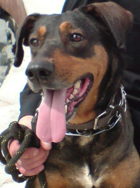 Жанна Черных