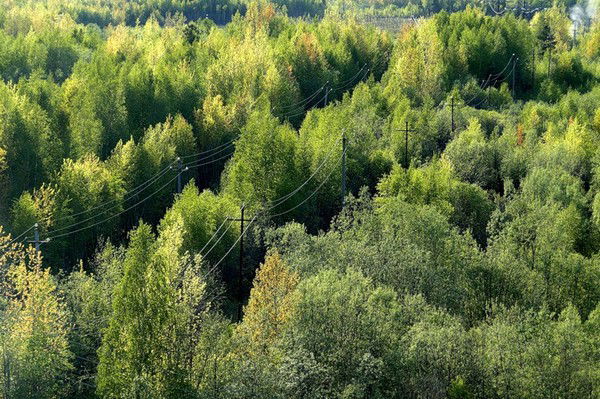 Сергей Майоров