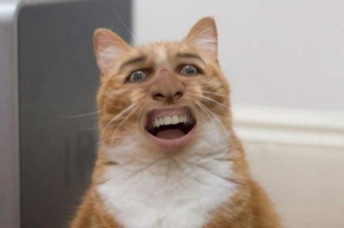 Виктор Мирошник