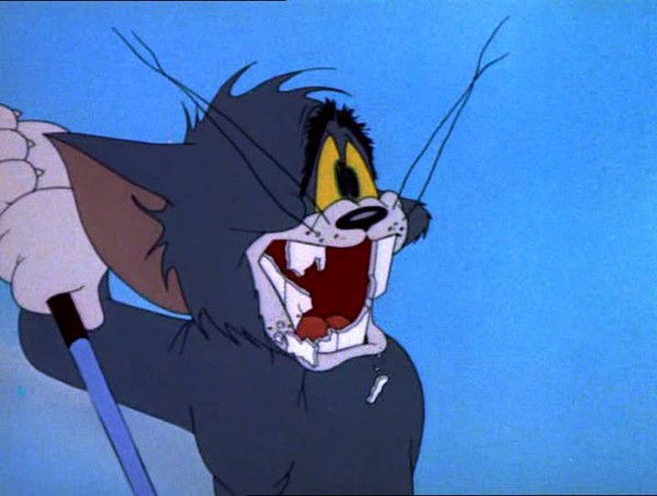 Мария Дроздецкая