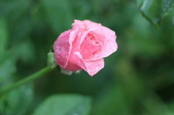 ********** **********