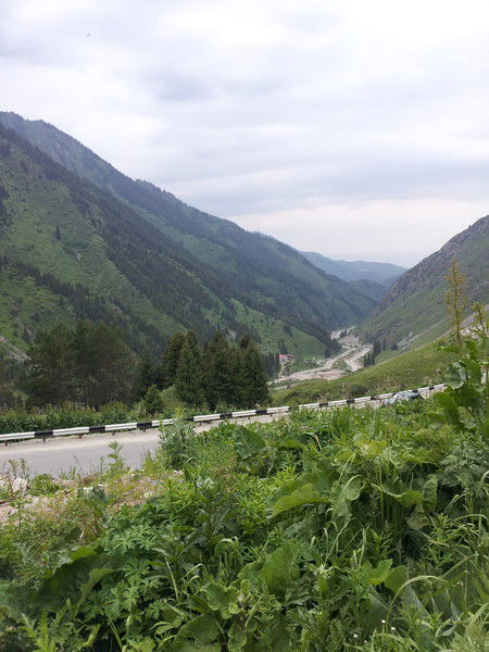 Гульназ Ганиева