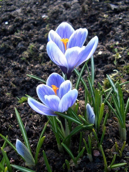 Бейсенкуль Нарымбетова