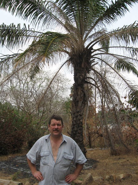 Дмитрий Власов