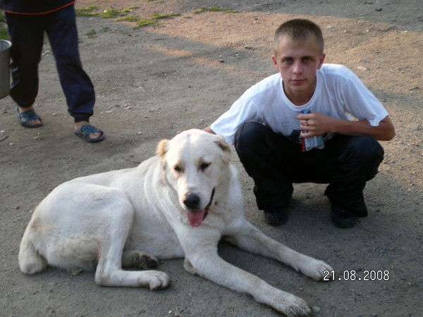 Антон Утемишев