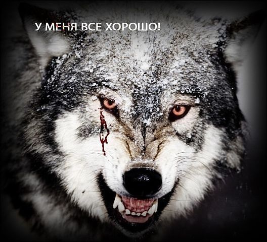 Андрей Земсков