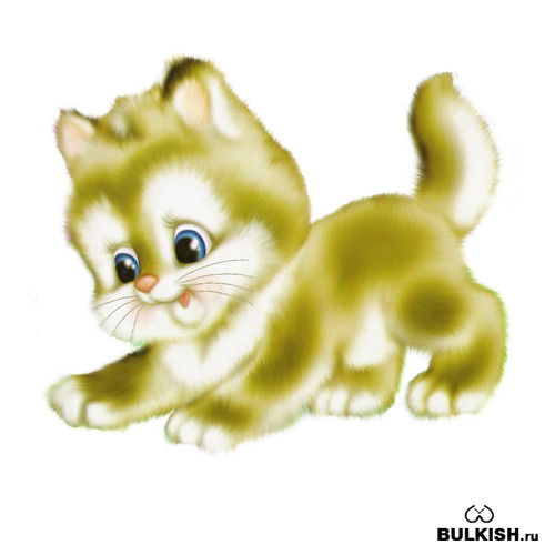 Елена Миронова