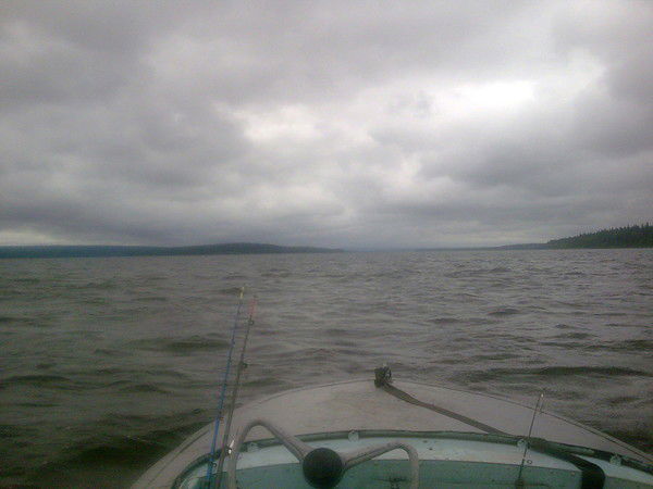 Николай Тычкин