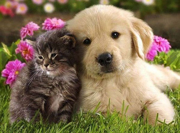 Фари Курбанбаева