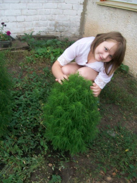 Валерия Алисова