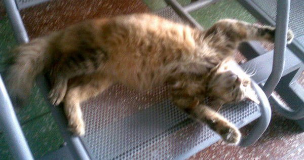 Юрий Кузечкин