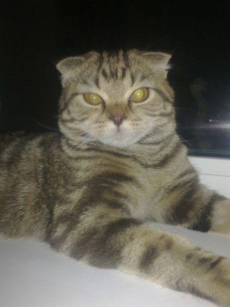 Ольга Балина