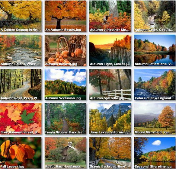 Галина Братанюк