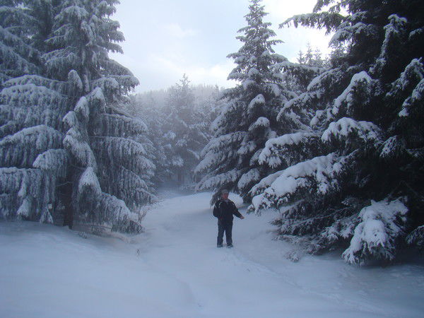 Александр Gam