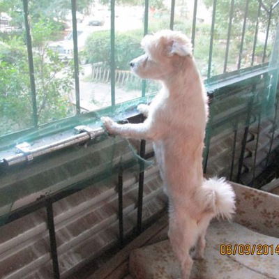 Анна Виноградова