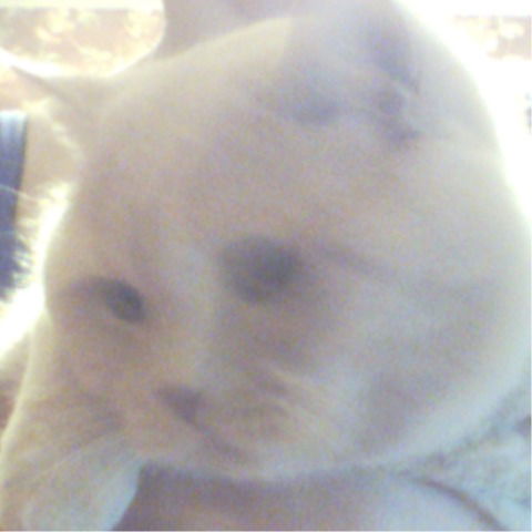 Виктор Щеглов