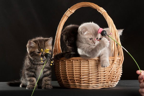 Айгуль Усманова