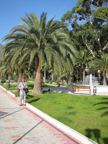 Владимир Малофеев