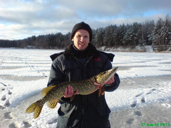Владимир Кибисов
