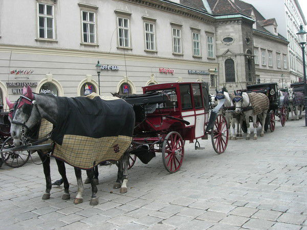 Людмила Сафонова