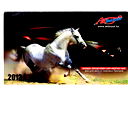 Nurjan Kudaibergenov