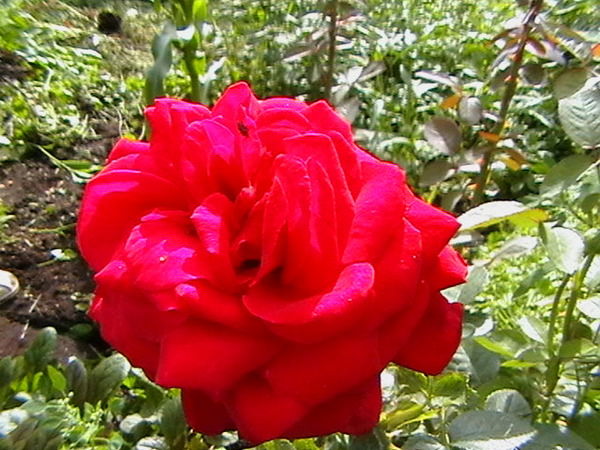 Людмила Кузина