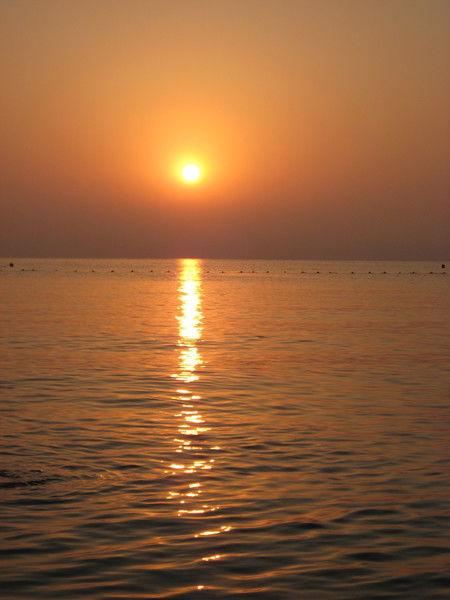 Елена Jирон Кин@