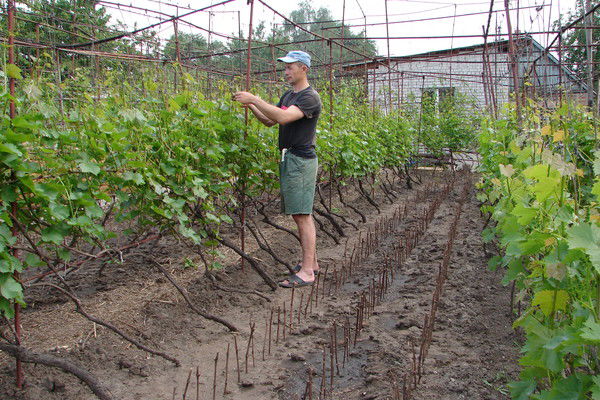 Андрей Карпушев