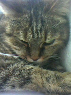 Тамара Конотоп