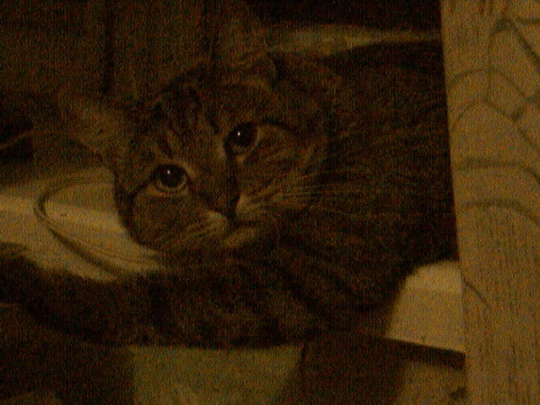 Сергей Чернов