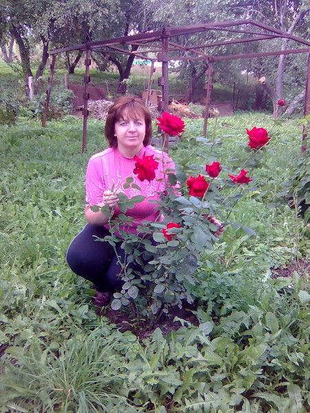 Светлана Балдина