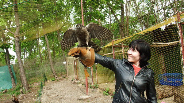 Татьяна Архилей