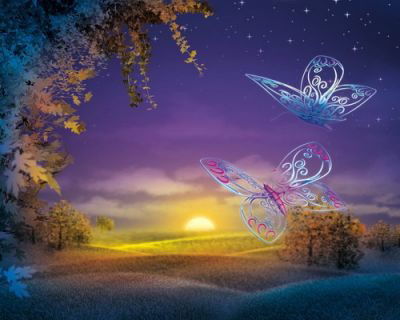 Нэля Беннер