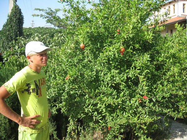 Владислав Кхтьов