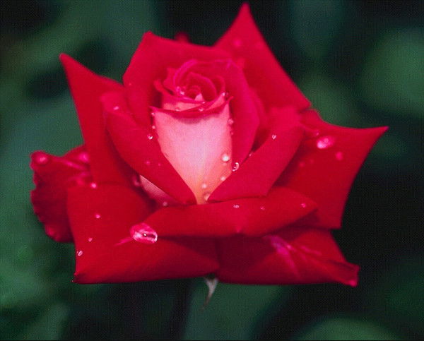 Айнагуль Жумагельдинова