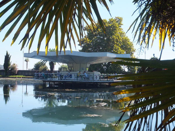 Владимир Концов