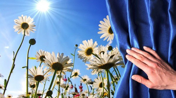 Салтанат Мукушева