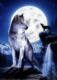 Вован Суперс