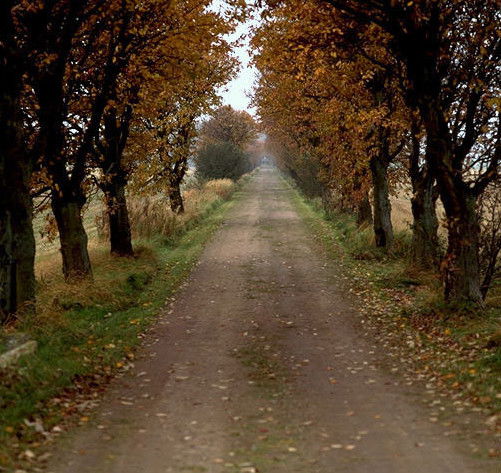 Дустмурод Сафаров