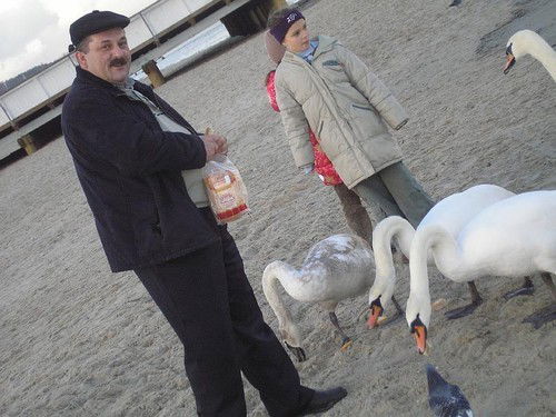 Иосиф Иосиф