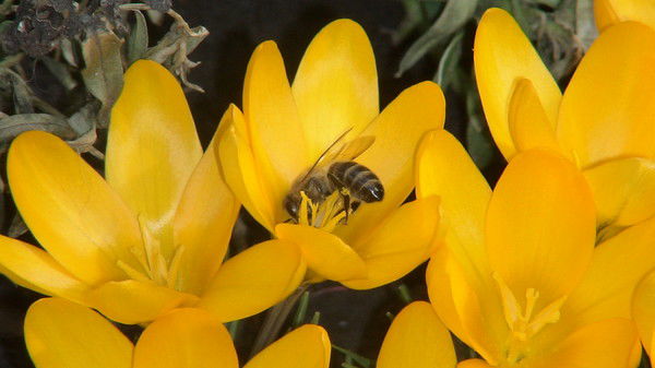 Сергей Стрюк