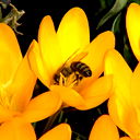 Сергей Стрюк