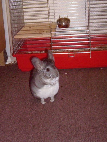 Юлия ************