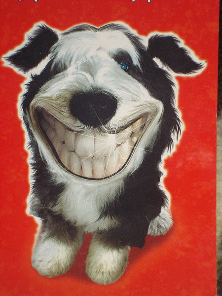 Дмитрий Ланцов