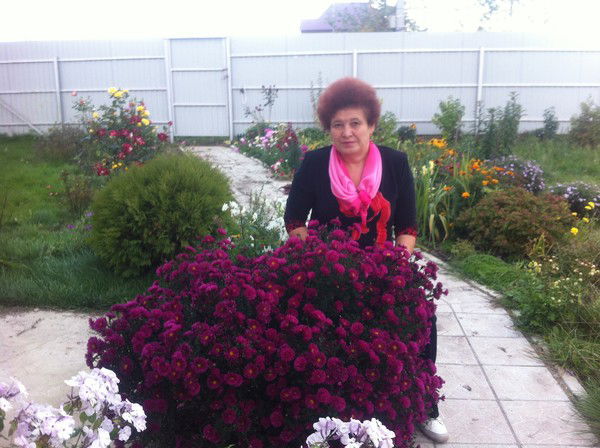 Елена Суворова