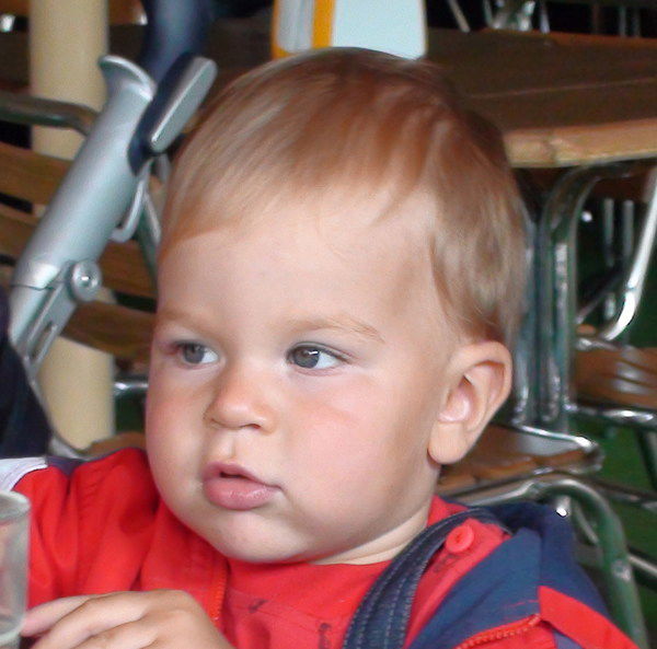 Николай Пудов