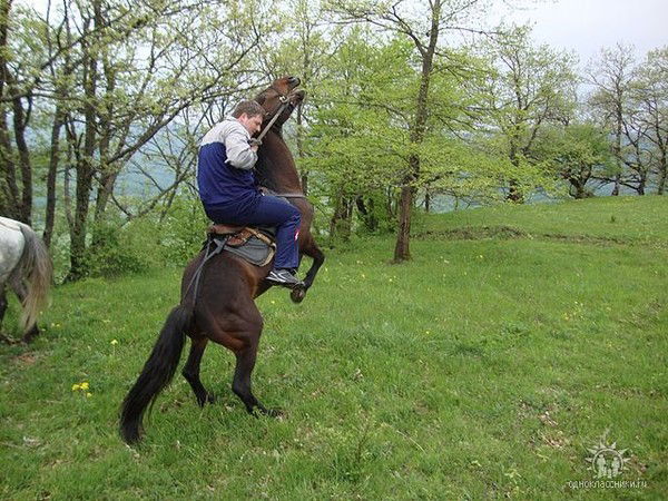 Николай Бойченко